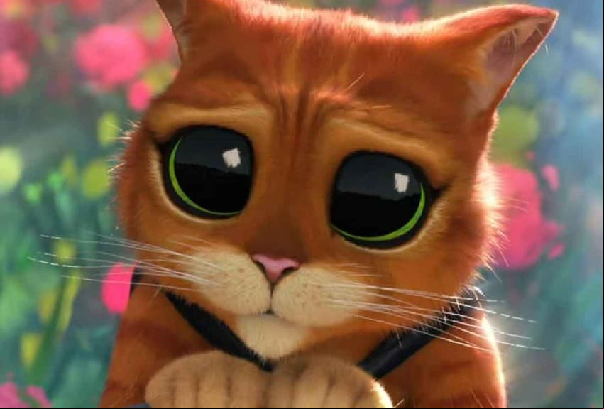 Los ojos tiernos del Gato con Botas